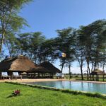 Africa-Safari-Lake-Manyara