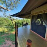 Tarangire-Kuro-Treetops-Lodge-1-320x200