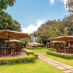 Tea-Garden-at-Arusha-Coffee-Lodge