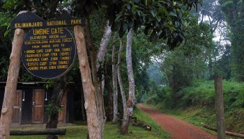 Kilimanjaro Routes 6 Days Umbwe Route